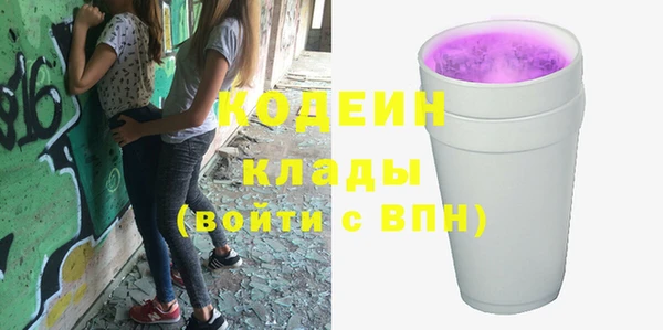 мдпв Карпинск