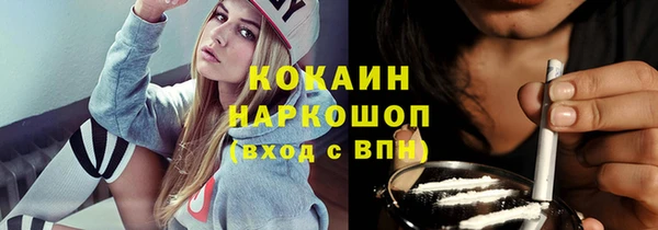 мдпв Карпинск