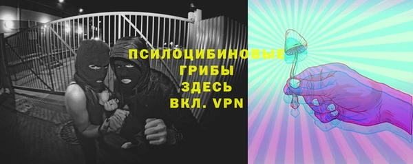 мдпв Карпинск