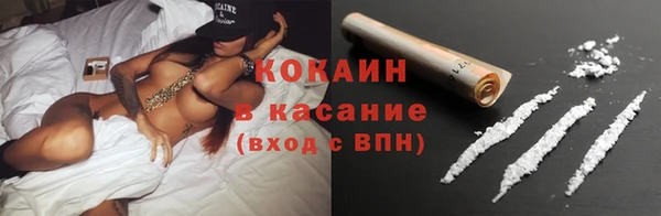 мдпв Карпинск