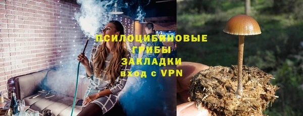 мдпв Карпинск