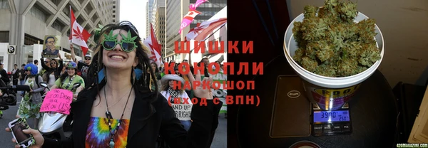 мдпв Карпинск