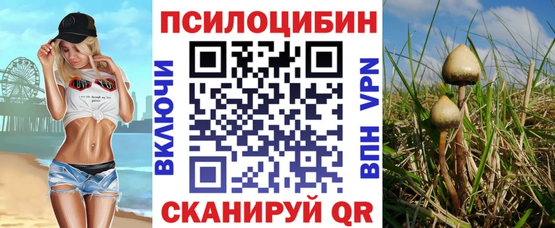Купить закладки  Знаменск  Галлюциногенные грибы Magic Shrooms 